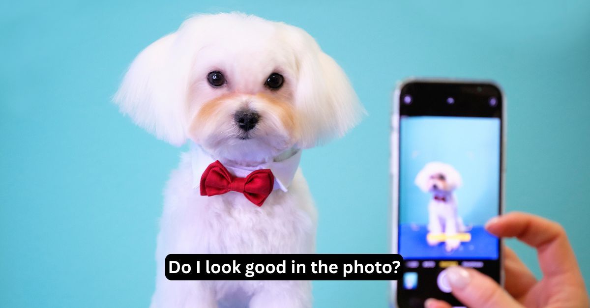 Android 16 Is Here Now With AI That Judges Your Photos