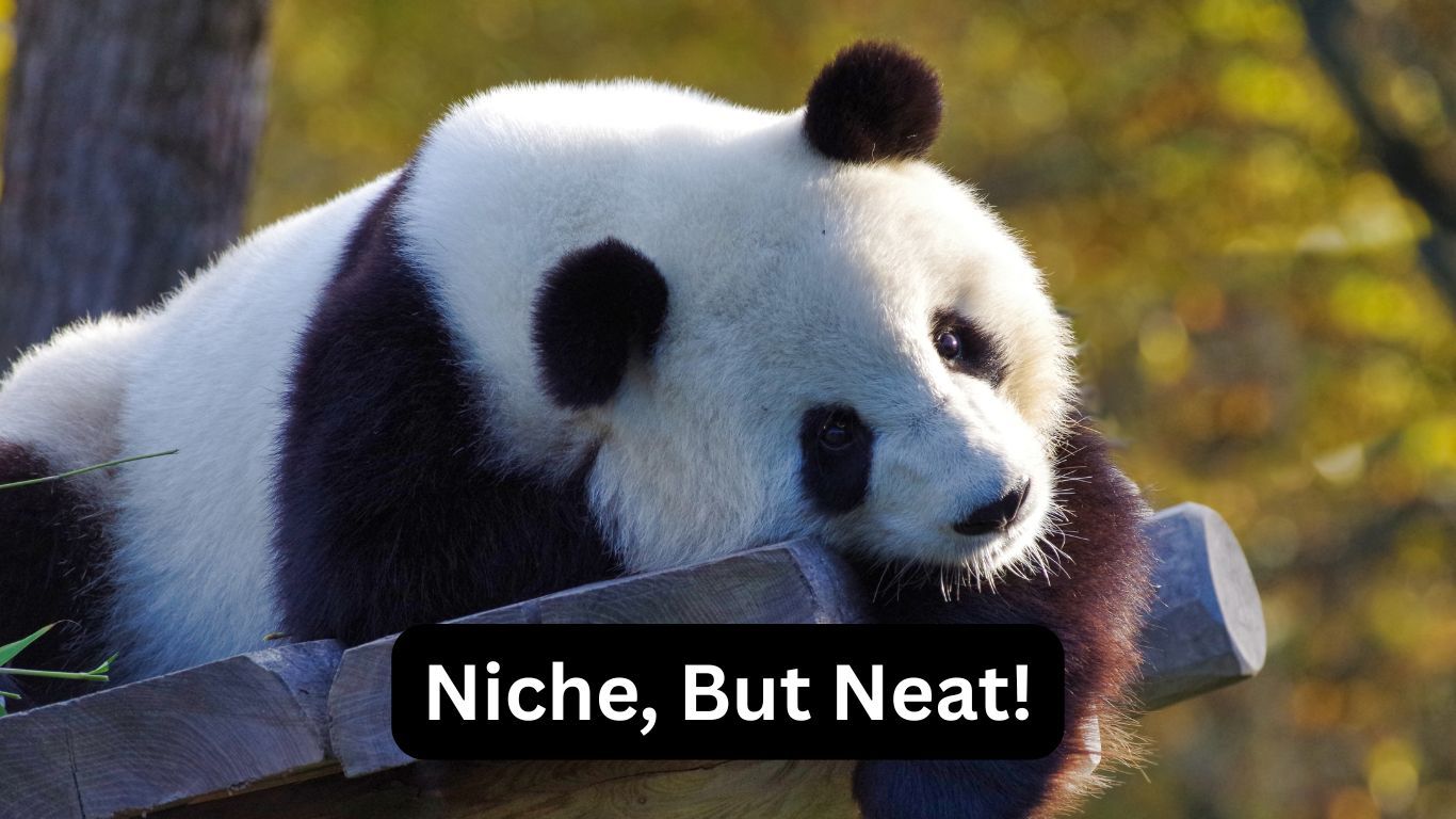 Niche but Neat